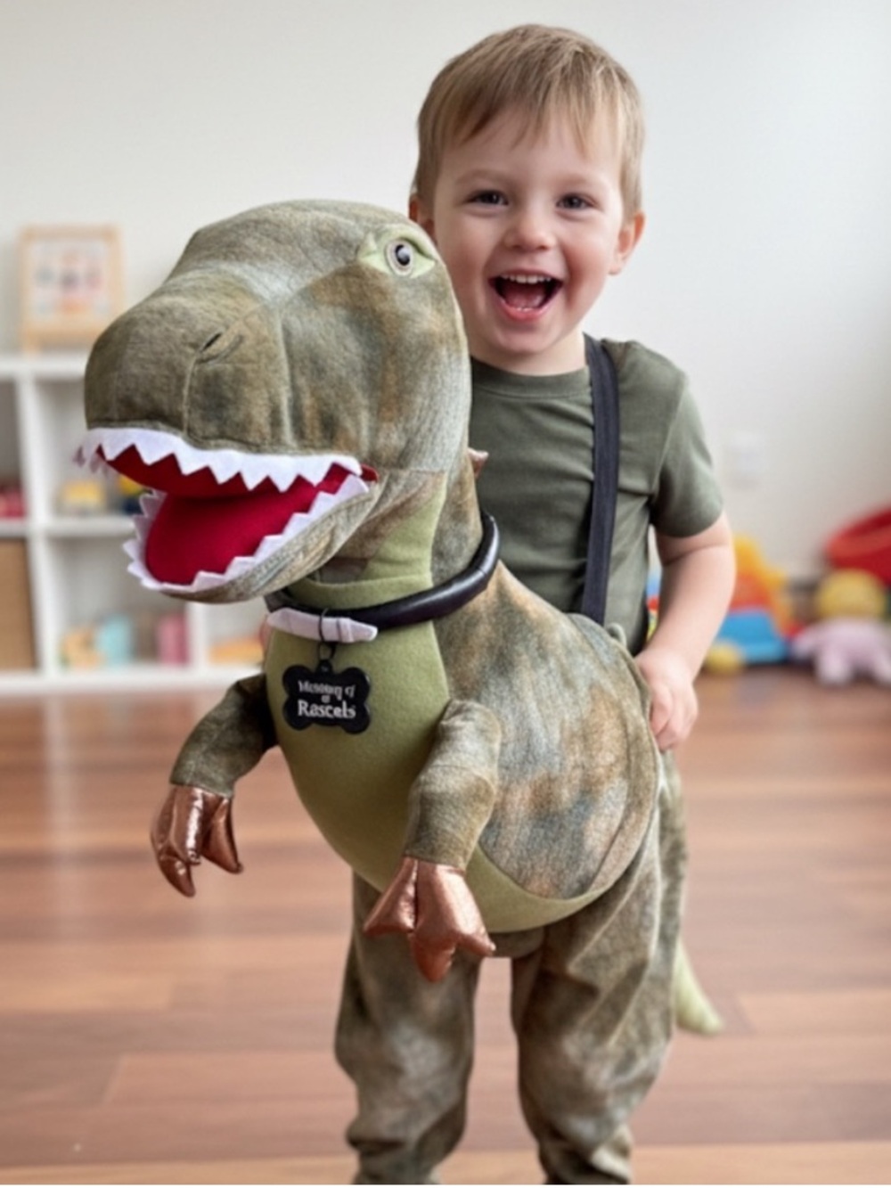 Ministry of Rascals Kids Dinosaur Halloween Costume